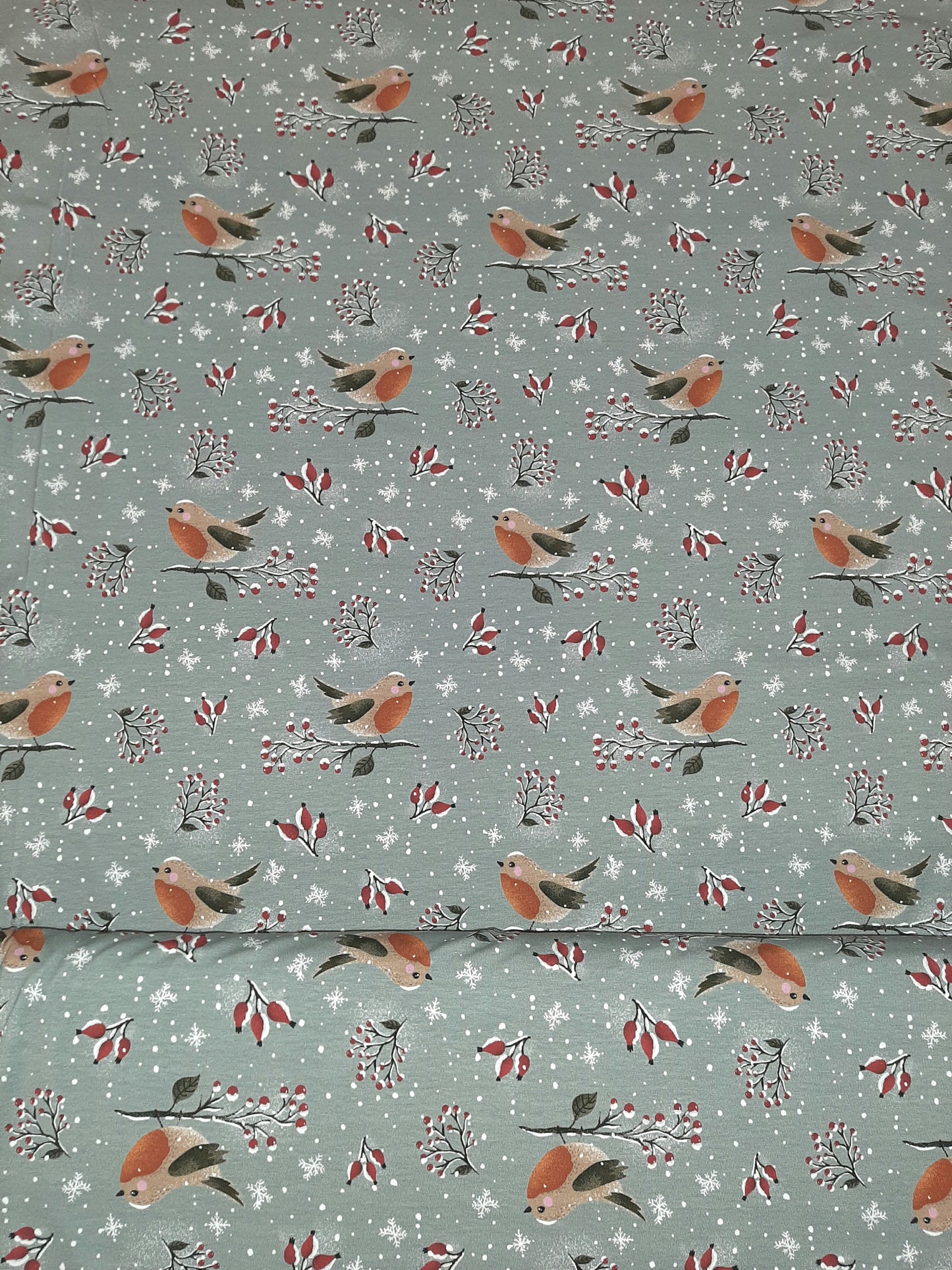 Trikookangas Lovely Robin by Christiane Zielinski